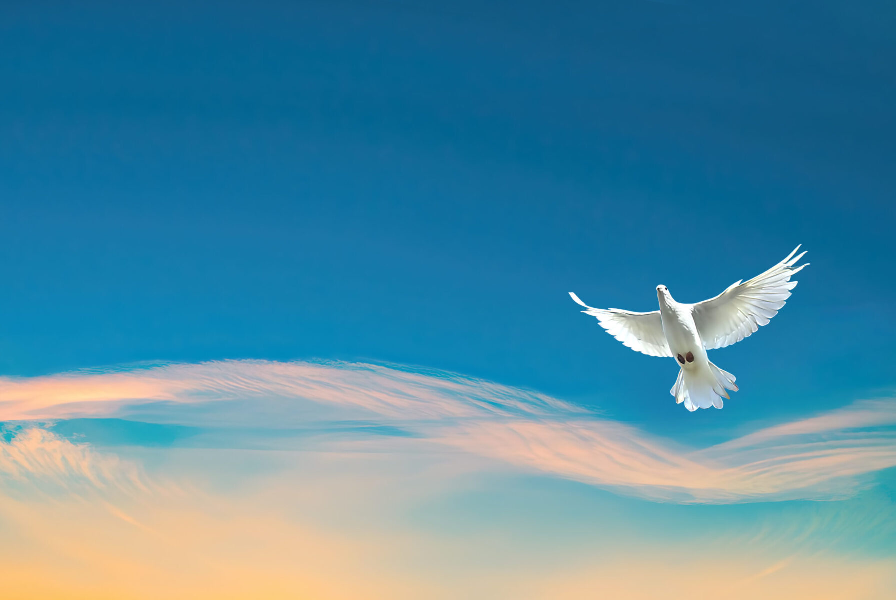 Dove in the air symbol of faith over blue background